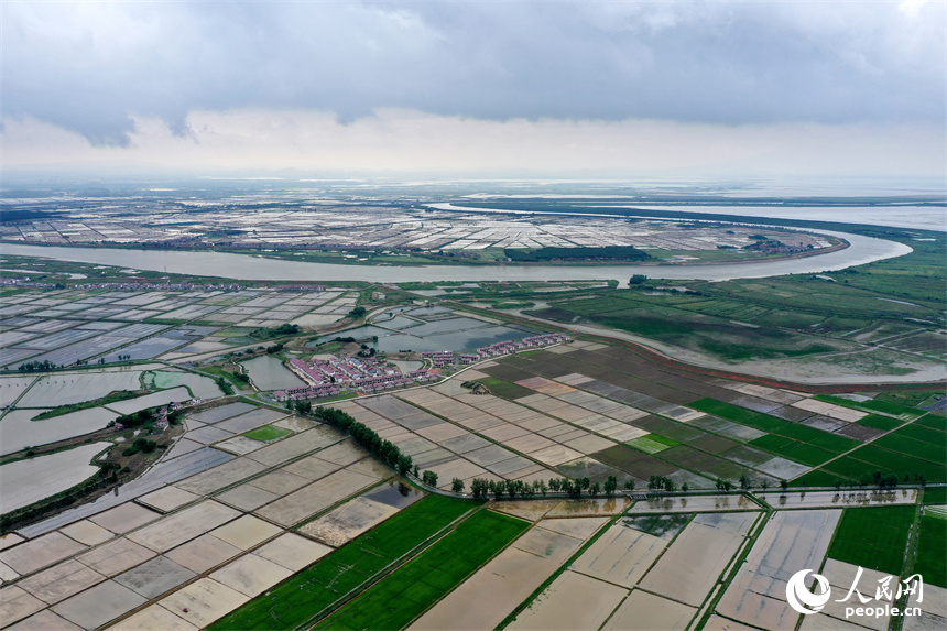 吳城鎮萬余畝良田與鄱陽湖、修河水道隔堤相映。人民網記者 時雨攝