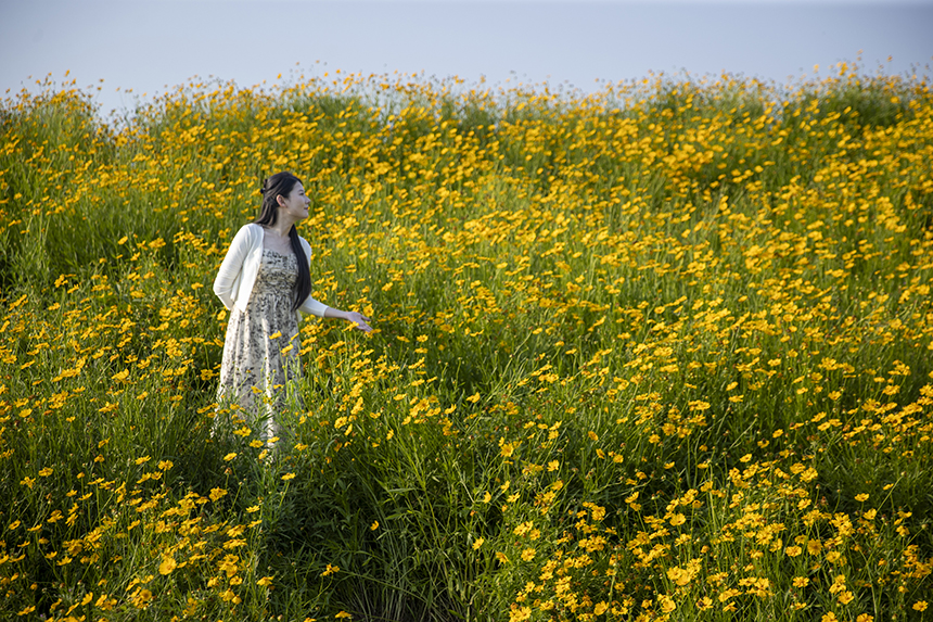 市民拍照留念。潘成攝