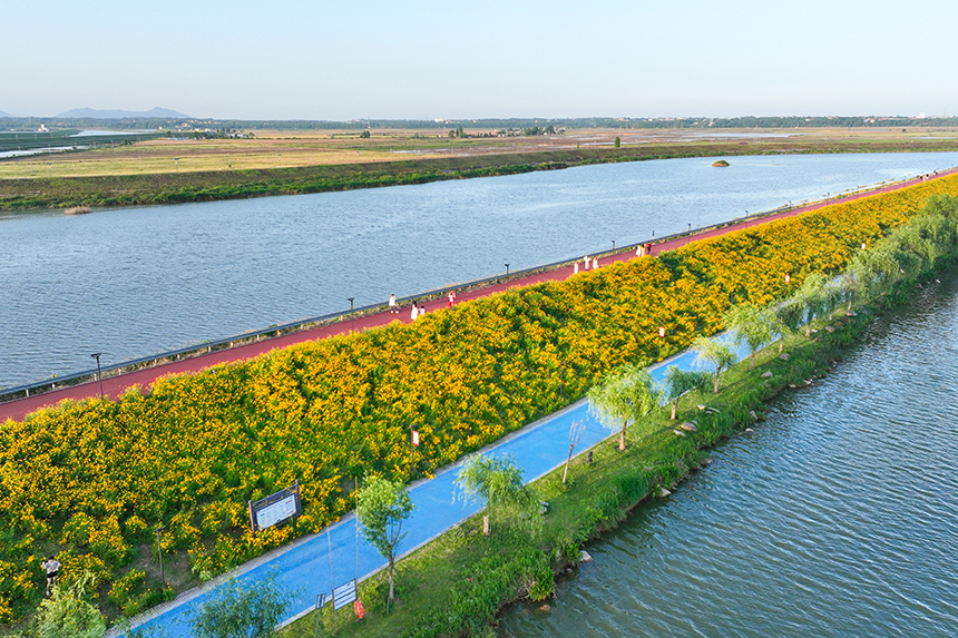航拍江西省共青城市珍珠湖湖畔風景如畫。潘成攝