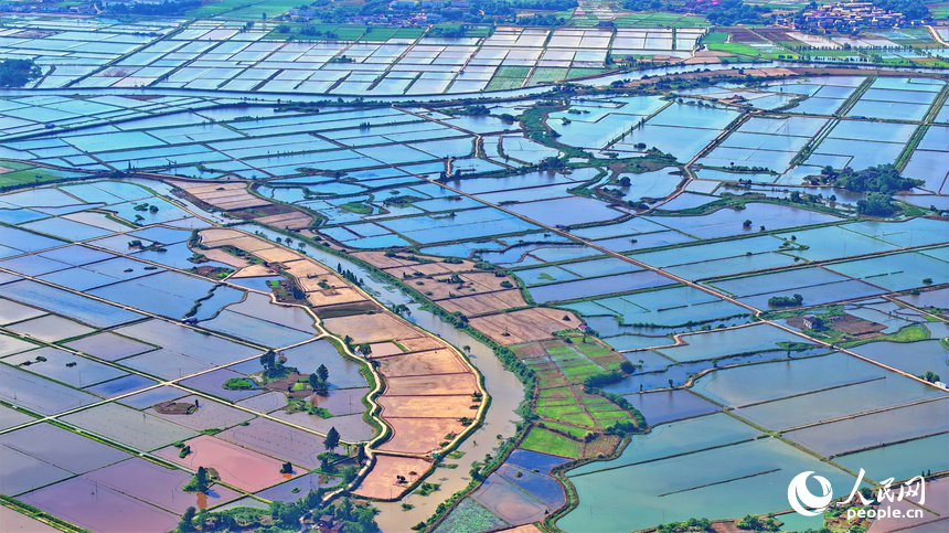 九江市永修縣馬口鎮一帶，蓄水翻耕后的高標準農田如同大自然的“調色盤”。人民網 朱海鵬攝
