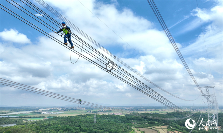 電網工作人員正在特高壓電線上走線巡檢。人民網記者 時雨攝
