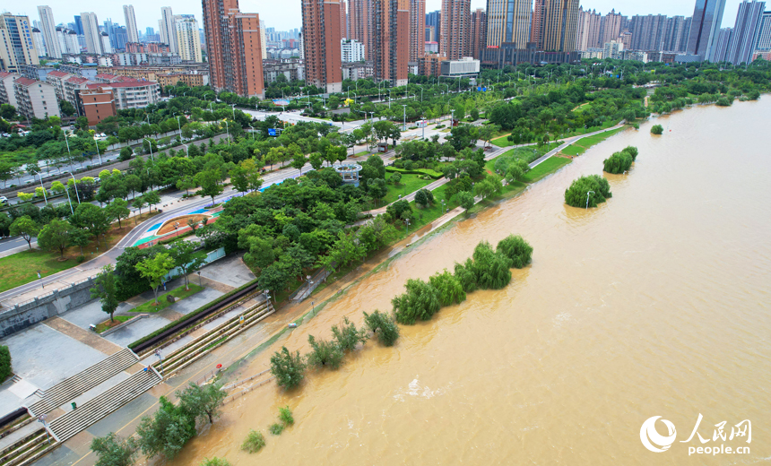 贛江水位上漲，部分沿江步道被水淹沒。人民網記者 毛思遠攝