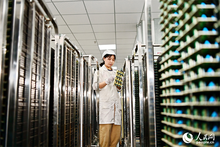 撫州市廣昌縣的一家5G電子元器件制造企業，技術工人在數字化車間生產5G網絡通訊光纖交換機電源元器件。人民網 朱海鵬攝