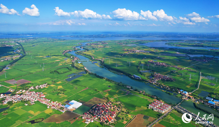 南昌縣涇口鄉早稻逐漸轉黃，與河流、道路及村居構成一幅美麗的夏日田園畫卷。人民網記者 毛思遠攝
