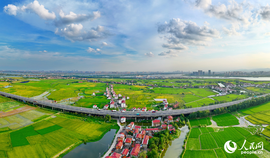 南昌縣南新鄉西江村一帶，車輛在繞城高速公路上疾馳，沿線鄉村風景怡人。人民網 朱海鵬攝