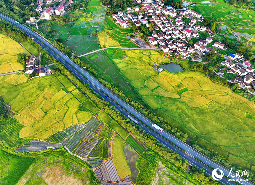 撫州市金溪縣秀谷鎮先鋒村，濟廣高速公路穿村而過，車輛往來疾馳。人民網 朱海鵬攝