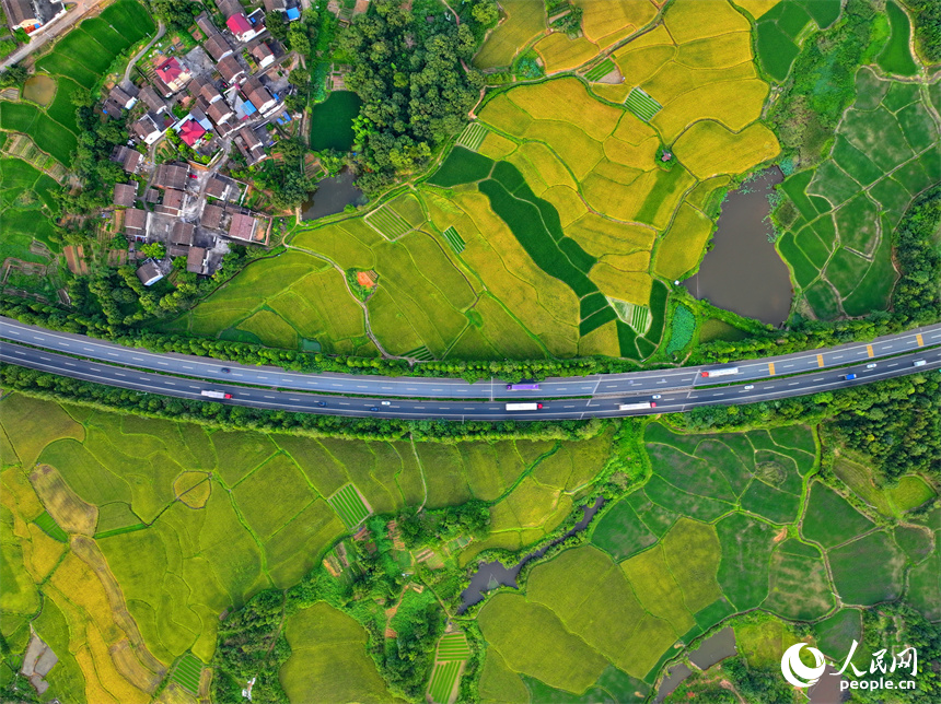 撫州市金溪縣秀谷鎮先鋒村，濟廣高速公路穿村而過，車輛往來疾馳。人民網 朱海鵬攝