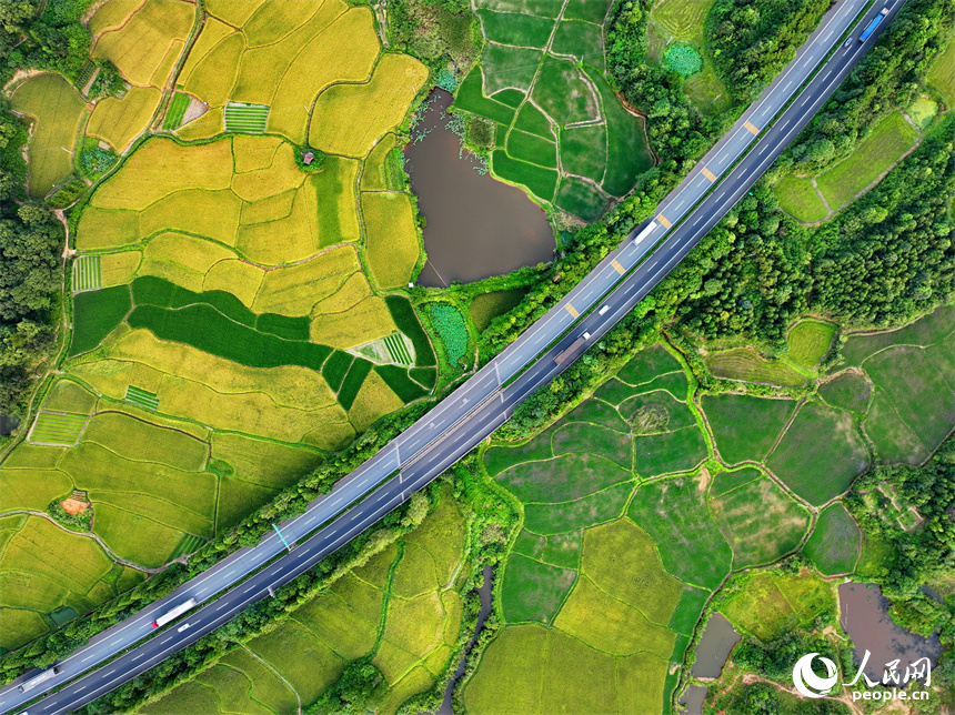 撫州市金溪縣秀谷鎮先鋒村，濟廣高速公路穿村而過，車輛往來疾馳。人民網 朱海鵬攝