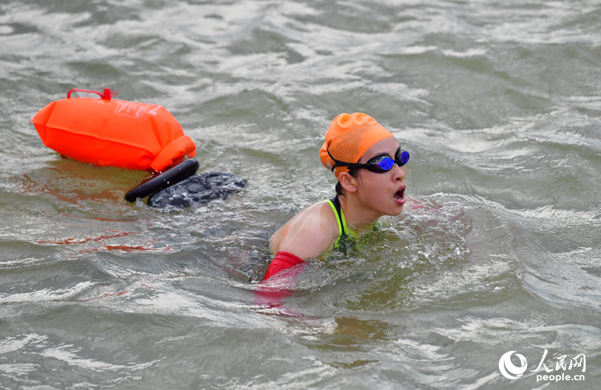 游泳愛好者在贛江中搏浪擊水、奮力前行。人民網記者 時雨攝