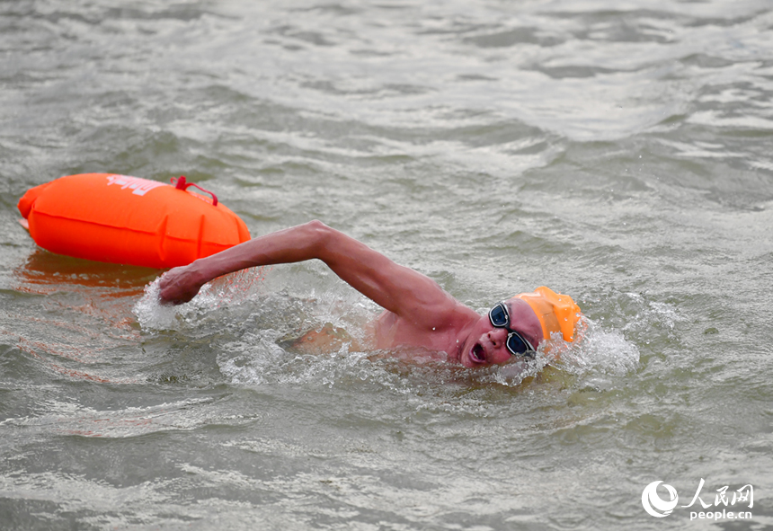 游泳愛好者在贛江中搏浪擊水、奮力前行。人民網記者 時雨攝