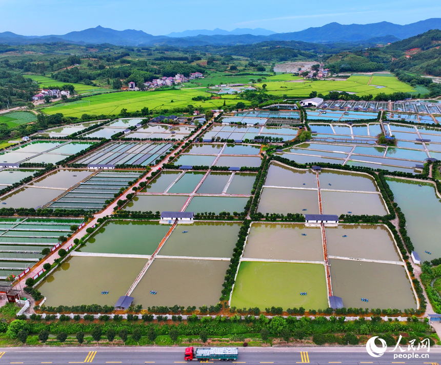 撫州市南豐縣太和鎮的甲魚養殖塘星羅棋布，色彩斑斕，如同大地調色盤。人民網 朱海鵬攝
