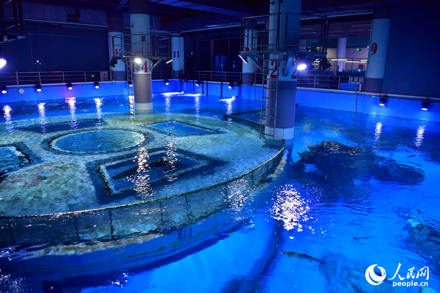 水生生物保護基地科普館內展出的各類淡水魚。人民網記者 時雨攝