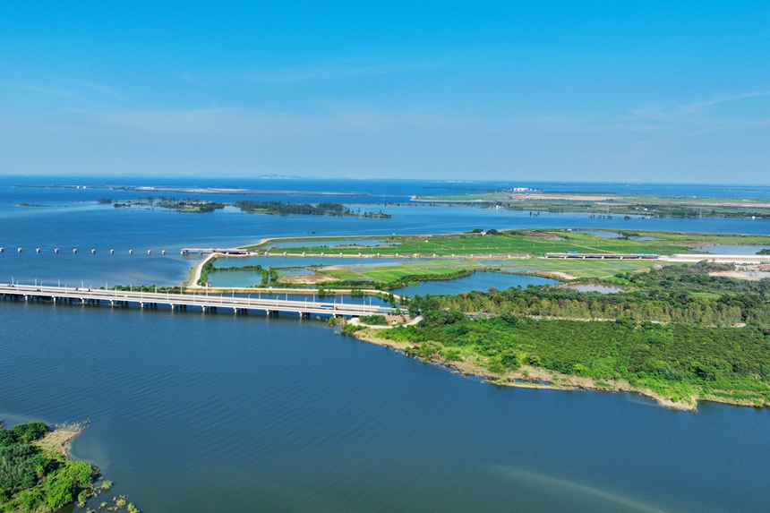 無人機俯瞰下的江西省共青城市青山如黛。潘成攝