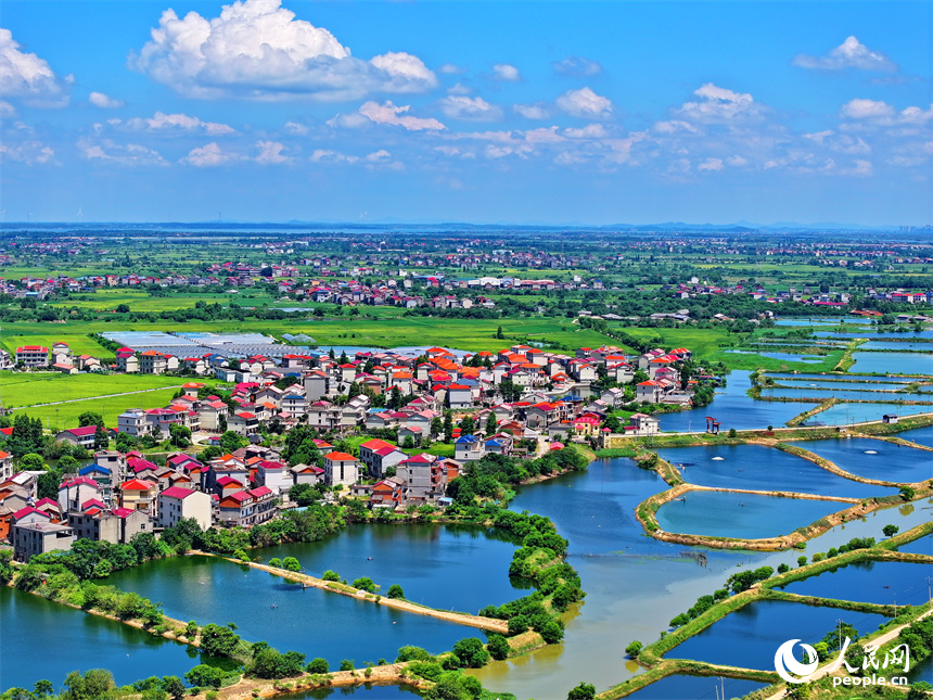 南昌縣武陽鎮朱坊村，鱗次櫛比的魚塘與鄉村房屋、公路、稻田相映相稱、風景怡人。人民網 朱海鵬攝