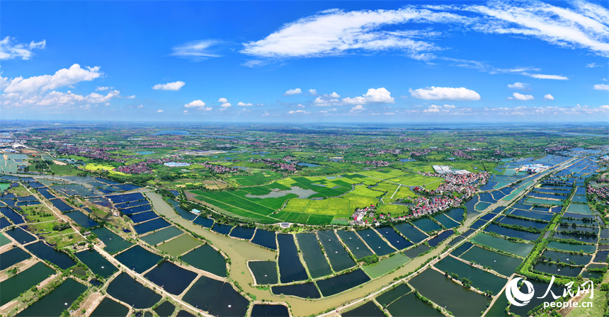 南昌縣武陽鎮朱坊村，鱗次櫛比的魚塘與鄉村房屋、公路、稻田相映相稱、風景怡人。人民網 朱海鵬攝