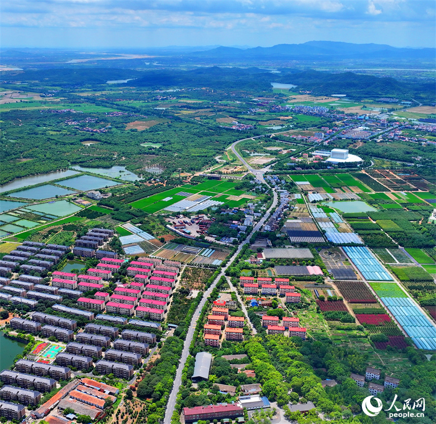 航拍南昌縣黃馬鄉鳳凰村，猶如一幅色彩斑斕的和美鄉村畫卷。人民網 朱海鵬攝