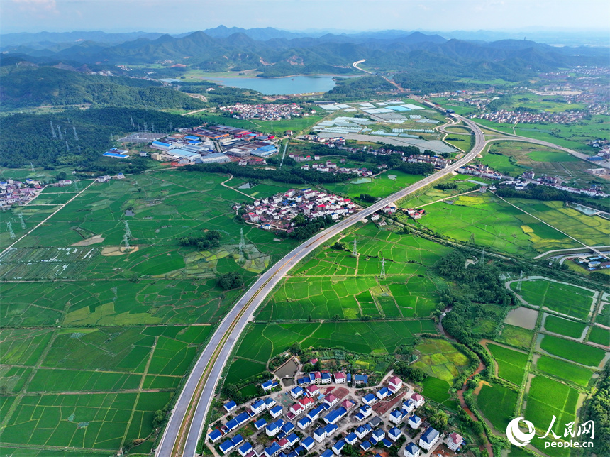 穿村而過的滬昆高鐵列車，與農房、青山、綠樹、田壟相映成景，鄉村和美如畫。人民網 朱海鵬攝
