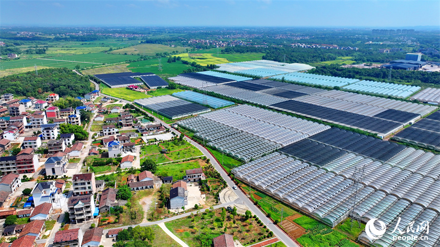 撫州市東臨新區七里崗鄉的一家農業科技有限公司產業園設施農業大棚林立。人民網 朱海鵬攝