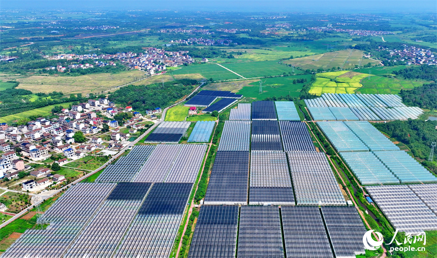 撫州市東臨新區七里崗鄉的一家農業科技有限公司產業園設施農業大棚林立。人民網 朱海鵬攝