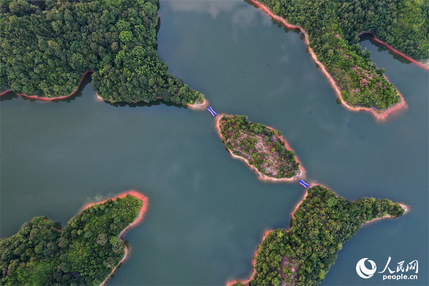 廣昌縣旴江鎮中坊水庫湖光如鏡，一座座綠色的小島嶼鑲嵌湖中。人民網記者 時雨攝