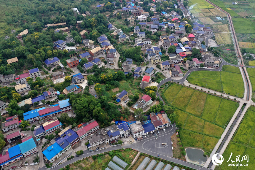 湘東區下埠鎮胡家村，村民的房前屋后綠樹縈繞，良好的生態讓山村群眾的幸福感倍增。人民網記者 時雨攝