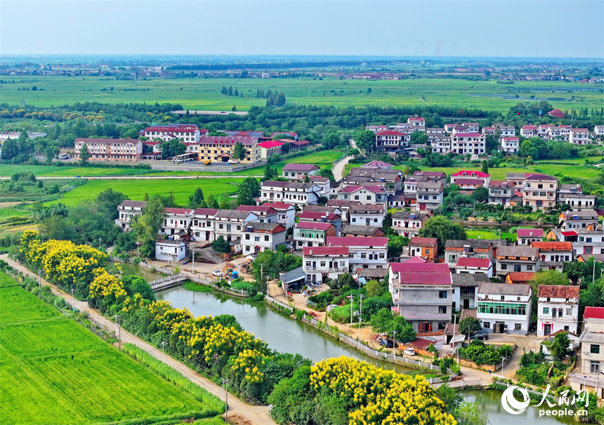 南昌市南昌縣涇口鄉，鱗次櫛比的農家房屋與廣袤田園相得益彰，風光旖旎。人民網 朱海鵬攝