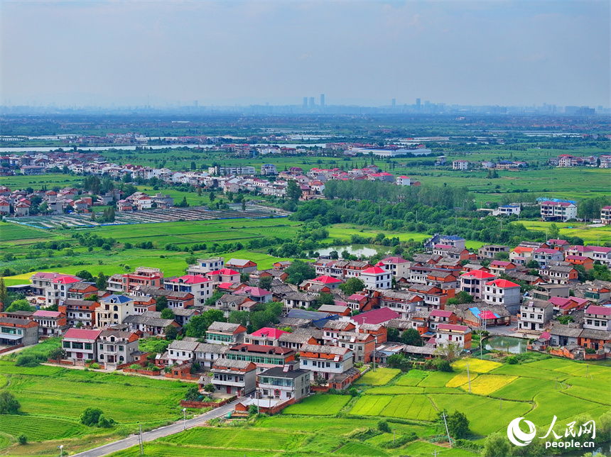 南昌市南昌縣涇口鄉，鱗次櫛比的農家房屋與廣袤田園相得益彰，風光旖旎。人民網 朱海鵬攝