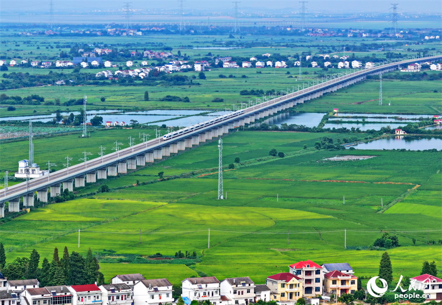 南昌市南昌縣涇口鄉，秋日風光旖旎，昌景黃高鐵列車疾馳而過。人民網 朱海鵬攝