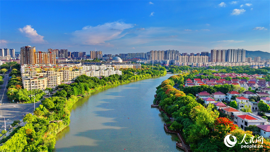 贛州市南康區城區秋意漸濃，章水河畔金贛大道兩旁的欒樹枝頭綻放金黃色花朵，成為秋日里的一道靚麗風景線。人民網 朱海鵬攝