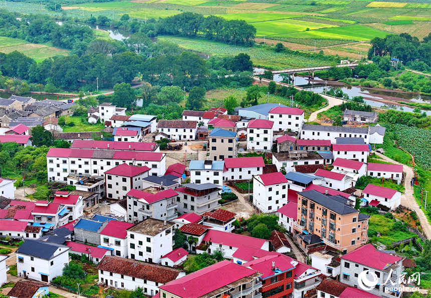 撫州市廣昌縣甘竹鎮羅家村，錯落有致的農房與廣袤農田、蜿蜒河流、筆直公路相映相稱，秋景怡人。人民網 朱海鵬攝