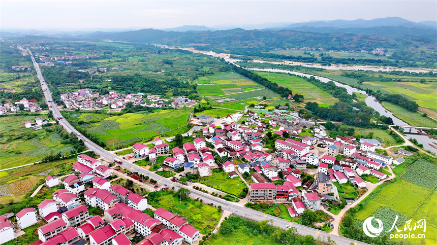 撫州市廣昌縣甘竹鎮羅家村，錯落有致的農房與廣袤農田、蜿蜒河流、筆直公路相映相稱，秋景怡人。人民網 朱海鵬攝