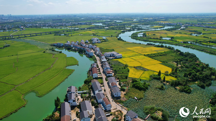 南昌縣灘上村，田野泛黃，與民房、河塘、道路等相映成景。人民網記者 毛思遠攝