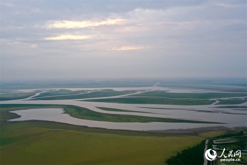 鄱陽湖的核心湖區溝壑縱橫、裸露的灘涂長滿綠草。人民網記者 時雨攝