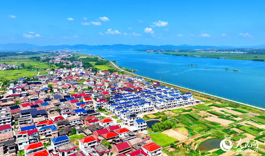 吉安市吉水縣楓江鎮上隴洲村，錯落有致的房屋與河流、綠樹、田野相映成景。人民網 朱海鵬攝