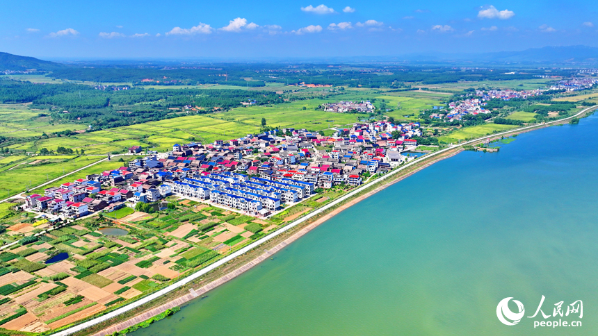 吉安市吉水縣楓江鎮上隴洲村，錯落有致的房屋與河流、綠樹、田野相映成景。人民網 朱海鵬攝