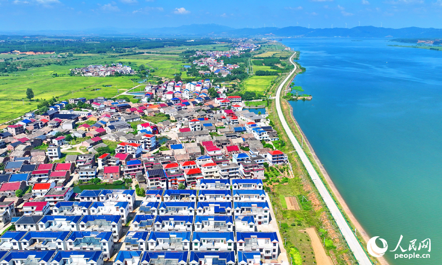 吉安市吉水縣楓江鎮上隴洲村，錯落有致的房屋與河流、綠樹、田野相映成景。人民網 朱海鵬攝