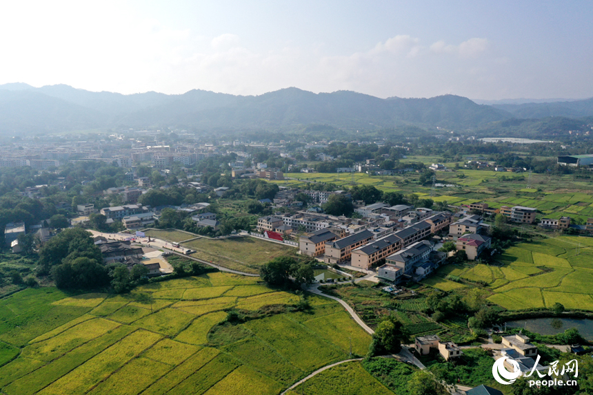 瑞金市云石山鄉豐垅村沃野與民居相映，航拍鏡頭下“豐”景如畫。人民網記者 時雨攝