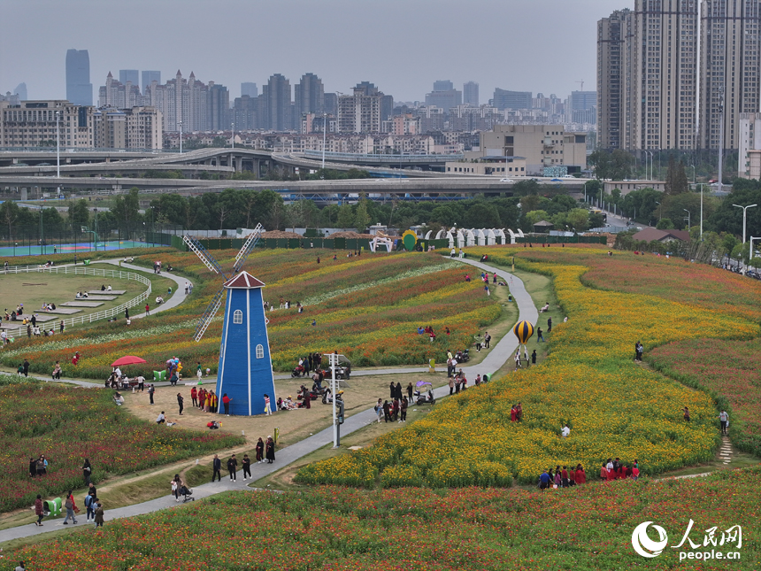 初冬時節，南昌馬蘭圩濕地公園菊花盛開，游客們在公園內賞花游玩。人民網記者 時雨攝