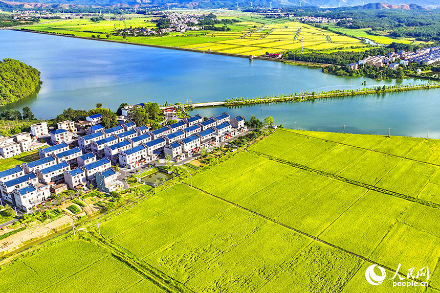 吉安市吉水縣醪橋鎮江口村，錯落有致的民居與青山綠水相映成趣，鄉村美景如畫。人民網 朱海鵬攝