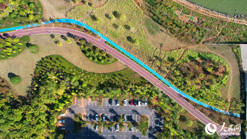 近日，南昌市贛江兩岸秋色宜人，與藍天和城市樓群相映成景。人民網記者 毛思遠攝