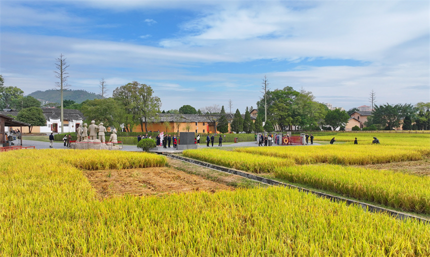 瑞金市紅井景區，許多游客在參觀“紅井”，接受愛國主義和革命傳統教育。人民網 朱海鵬攝