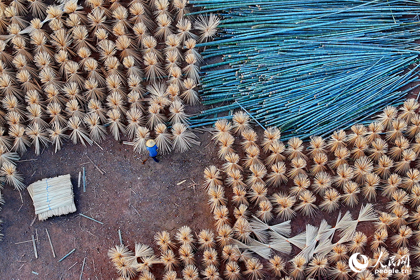 撫州市廣昌縣旴江鎮清水村的一家毛竹加工基地，竹農在收獲晾曬好的毛竹條。人民網 朱海鵬攝