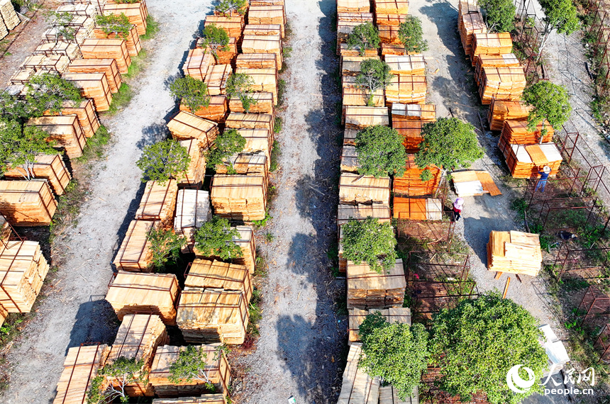 宜春市宜豐縣棠浦鎮村民利用晴好天氣的有利時機在晾曬板材半成品。人民網 朱海鵬攝