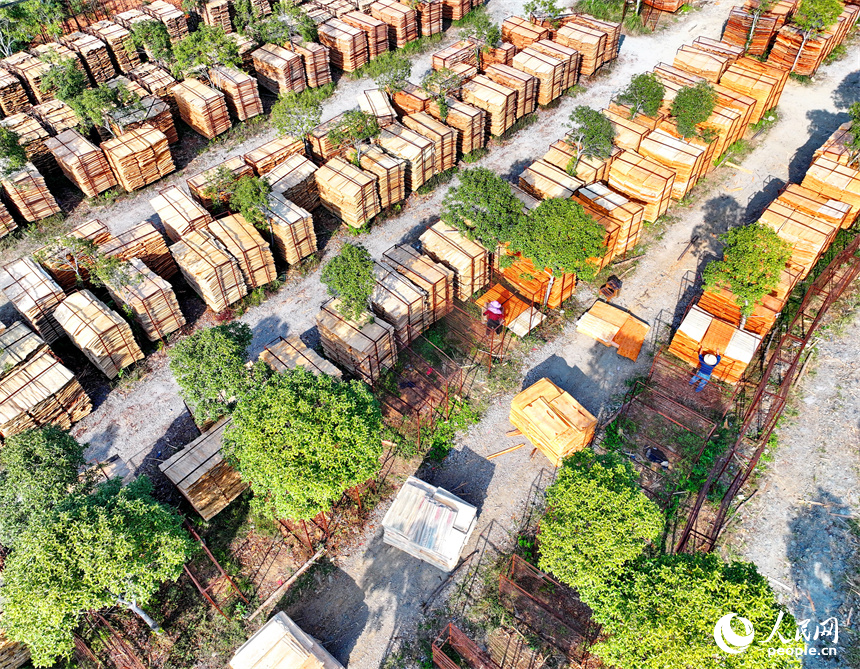 宜春市宜豐縣棠浦鎮村民利用晴好天氣的有利時機在晾曬板材半成品。人民網 朱海鵬攝