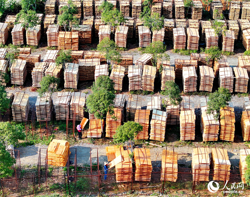 宜春市宜豐縣棠浦鎮村民利用晴好天氣的有利時機在晾曬板材半成品。人民網 朱海鵬攝