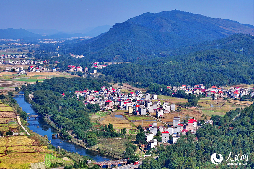 初冬時節的吉安市永新縣龍源口鎮黃陂洲村，綠樹、青山與農房、田野相映相襯。人民網 朱海鵬攝
