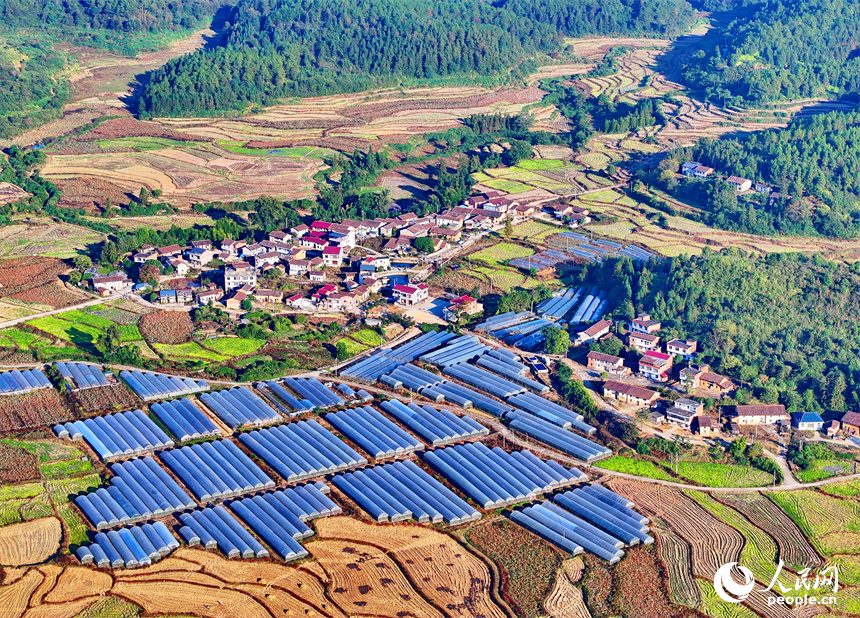 撫州市廣昌縣頭陂鎮大棚蔬菜基地，整齊排列的鋼架薄膜大棚與村莊房屋、綠樹群山相互映襯。人民網 朱海鵬攝