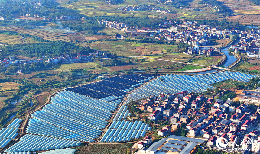 撫州市廣昌縣頭陂鎮大棚蔬菜基地，整齊排列的鋼架薄膜大棚與村莊房屋、綠樹群山相互映襯。人民網 朱海鵬攝