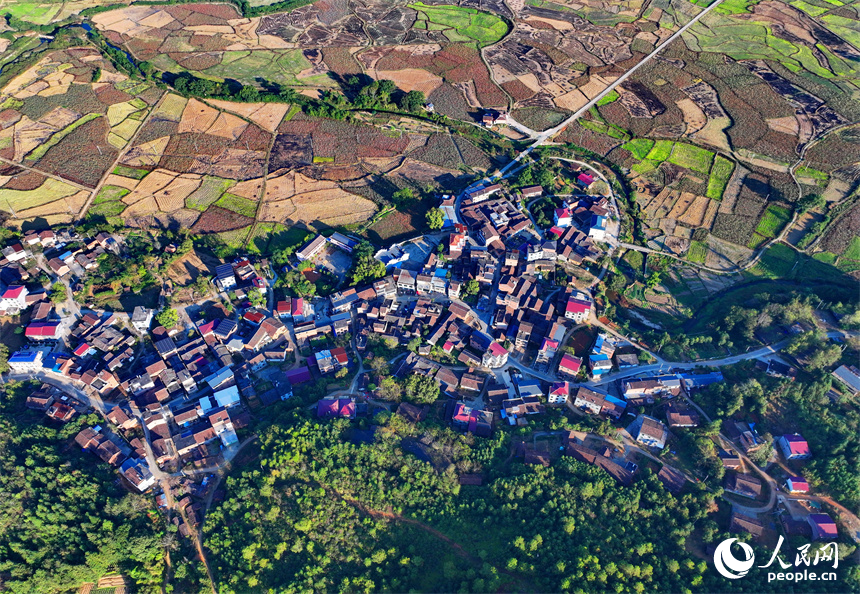 撫州市廣昌縣頭陂鎮塘下村青山掩映、阡陌縱橫，農村公路入組聯戶，構成一幅路暢景新的和美鄉村畫卷。人民網 朱海鵬攝