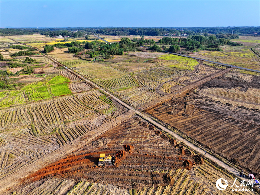 宜春市宜豐縣棠浦鎮高標準農田建設點，農機手駕駛推土機進行耕作層表土剝離。人民網朱海鵬攝